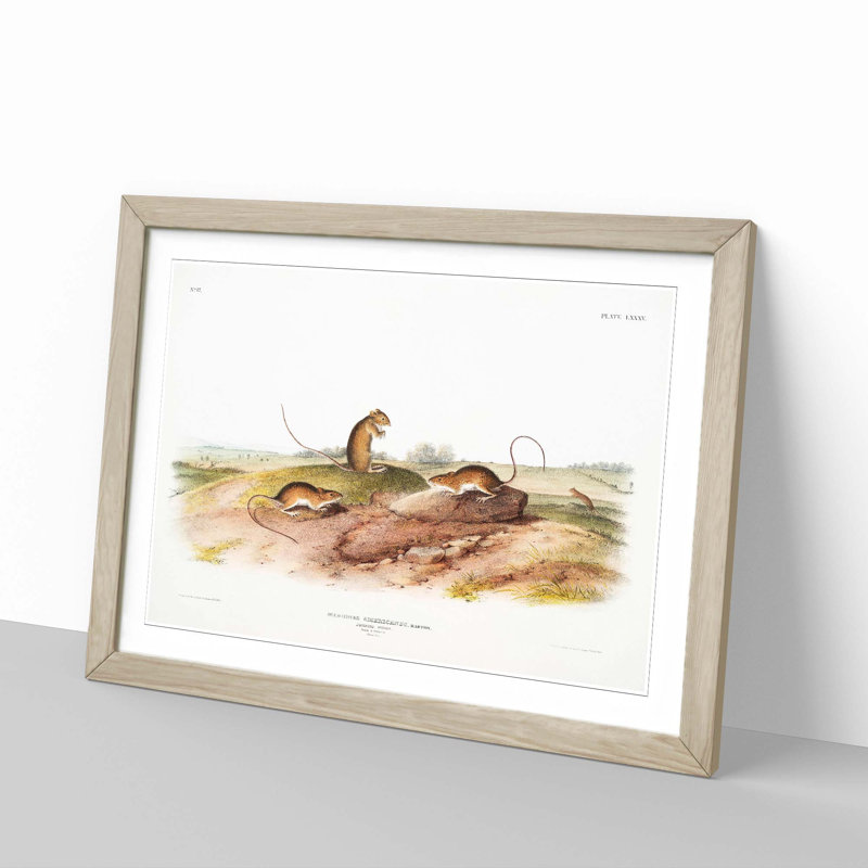 Jumping Mice by J.W. Audubon - Framed Print, 60cm H x 91cm W x 2cm D, Oak