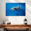 Paire de dauphins nageant Brampt-107841182