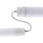 White 7 W