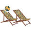 Agyen Reclining Deck Chair