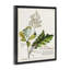 "Botanical Plant Illustration Leaves", impression sur toile par World Art Group-362868626-362868627