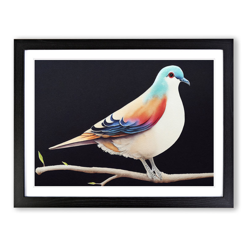 Watercolour Dove Bird - Single Picture Frame Print, 46cm H x 64cm W x 2cm D, Black Framed
