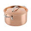 Copperbond Aura 6.0qt Covered Stock Pot (24cm)