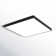 Orduna LED Flush Mount