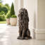 Statue de jardin de lion assis-136367513
