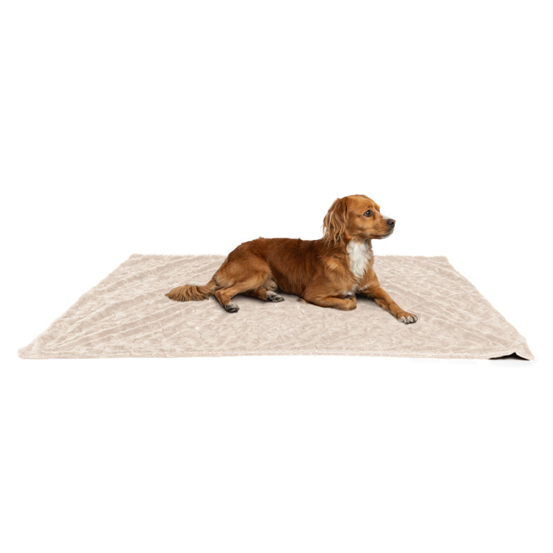 Large Cream Faux Fur Pet Blanket, 40x50