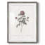 Imprimé floral rétro CXLVI - impression encadrée-492714262