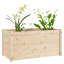 Boîte à fleurs en bois massif Rowhn