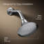 Pomme de douche murale à fonction unique avec gicleur 66 pouces Forte, 2,5 gallons par minute Forte-4094918