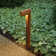 Atlantis Low Voltage Pathway Light