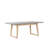 Dameyon Wooden/Cement Dining Table