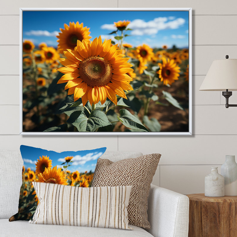 Tournesols jaune champ vibrant II, H 34 po x l 44 po x P 1,5 po, Cadre flottant blanc