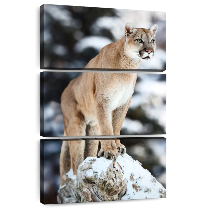 Brampt Winter Forest Cougar, 74" H x 48" W