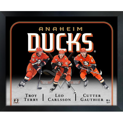 Art mural encadré 18 x 22 par Anaheim Ducks 