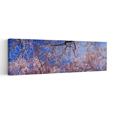 Low Angle View Of Cherry Blossom Trees, Washington State, Usa Abstract Contemporary Cherry Flower Landscape Wall Art