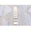 Kilim gris Ankara 5 pi 9 po x 8 pi 8 po