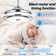 Khamon 42'' Ceiling Fan with LED Lights