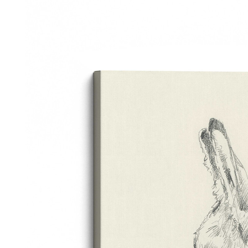 «Donkey Study II» par Ethan Harper, reproduction d'art sur toile, Sans objet, H 48 po x l 36 po, Toile tendue