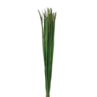 Elmhur Arrangement