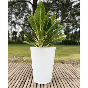 Pot à fleurs en résine Genebra