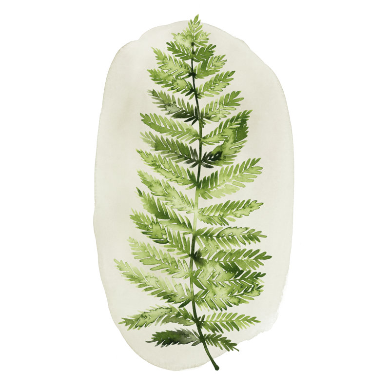 Spot Fern I by Grace Popp - Painting, 91 cm H x 61 cm W, Wrapped Canvas