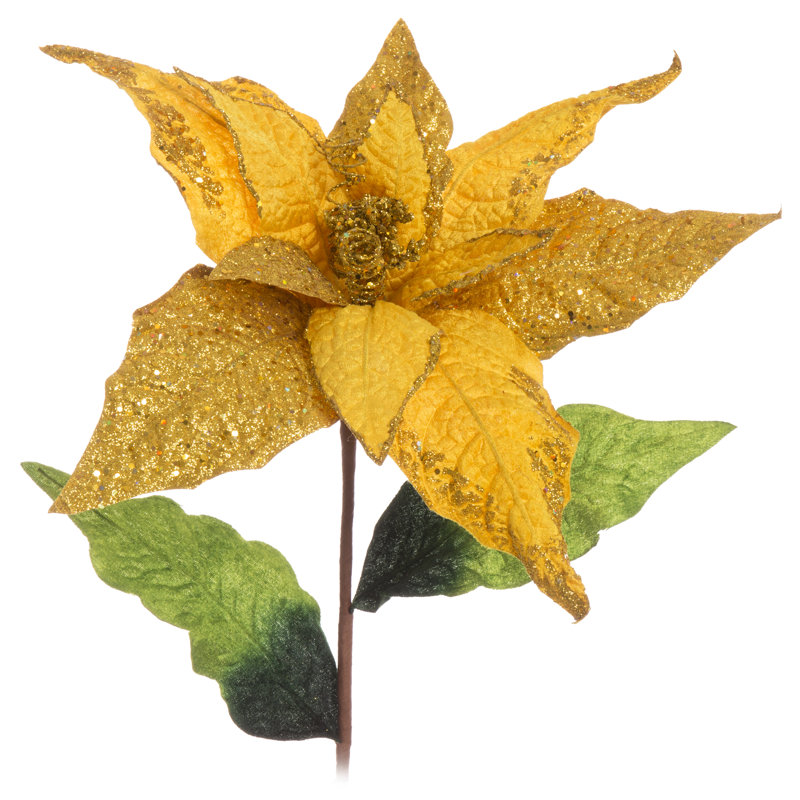 Hico Poinsettia Arrangement, Gold