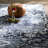 Hillcrest Geometric Indoor Rug-21300104