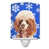 Caniche miniature rouge