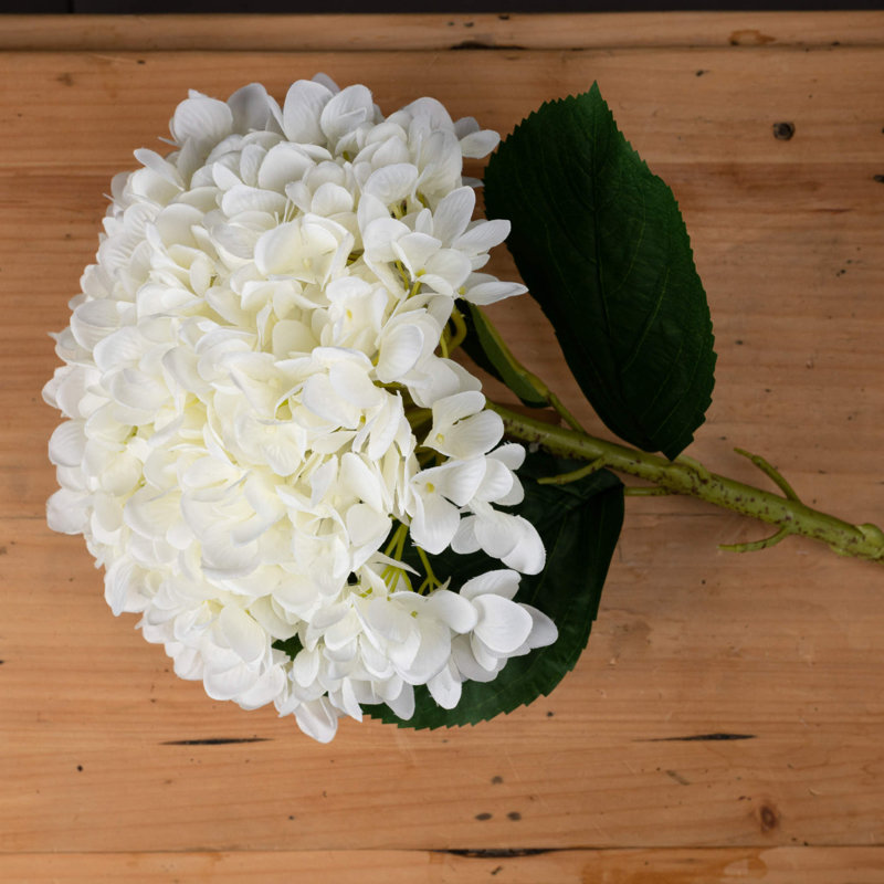 Anastasija Arrangement, White, 73 cm H x 25 cm W x 25 cm D