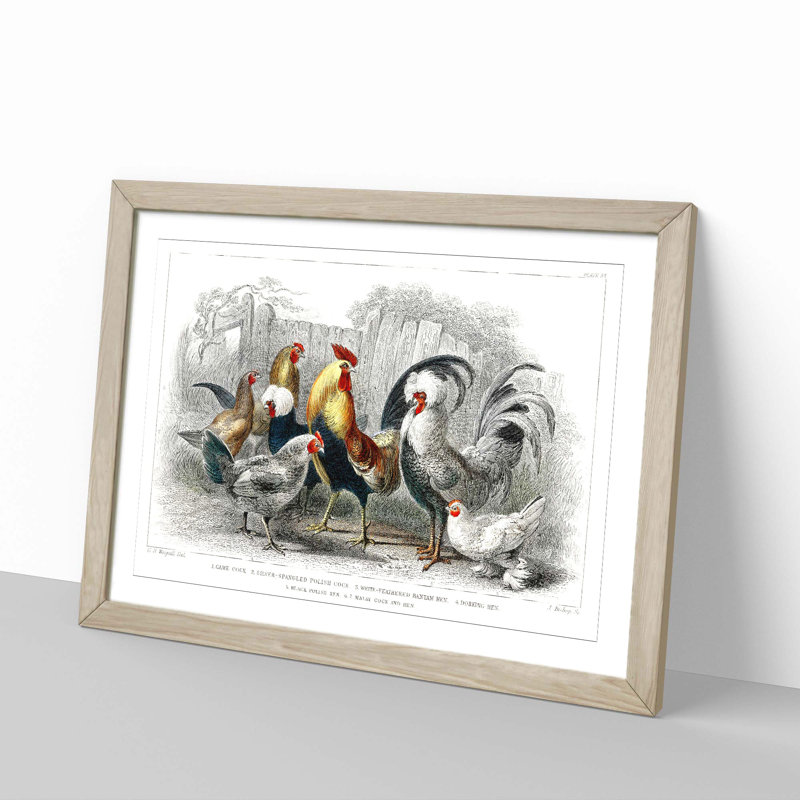 Cocks & Hens by Oliver Goldsmith - Picture Frame Painting, 36cm H x 48cm W x 2cm D, Oak Framed