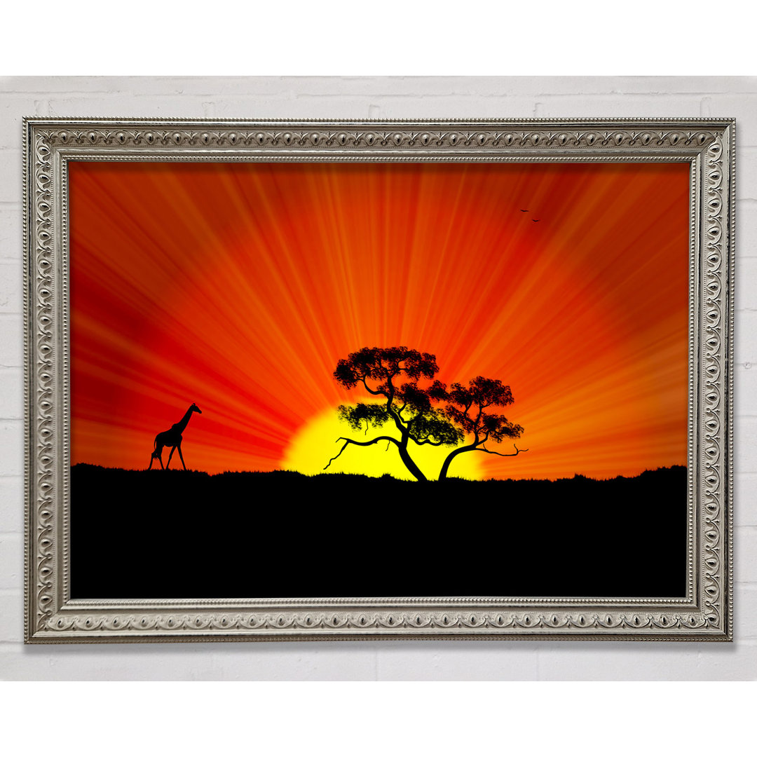 African Sunblaze Gerahmter Druck Wandkunst