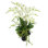Orchids Arranged in Decorative Glass Vase
