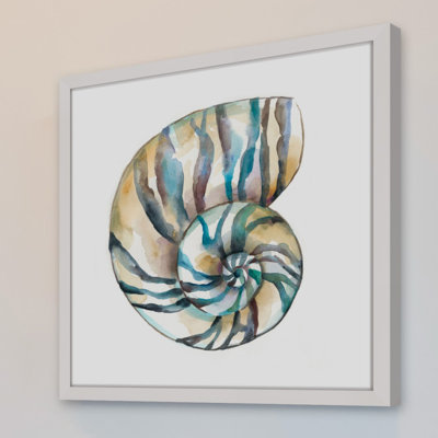 " Aquarelle Shells II "