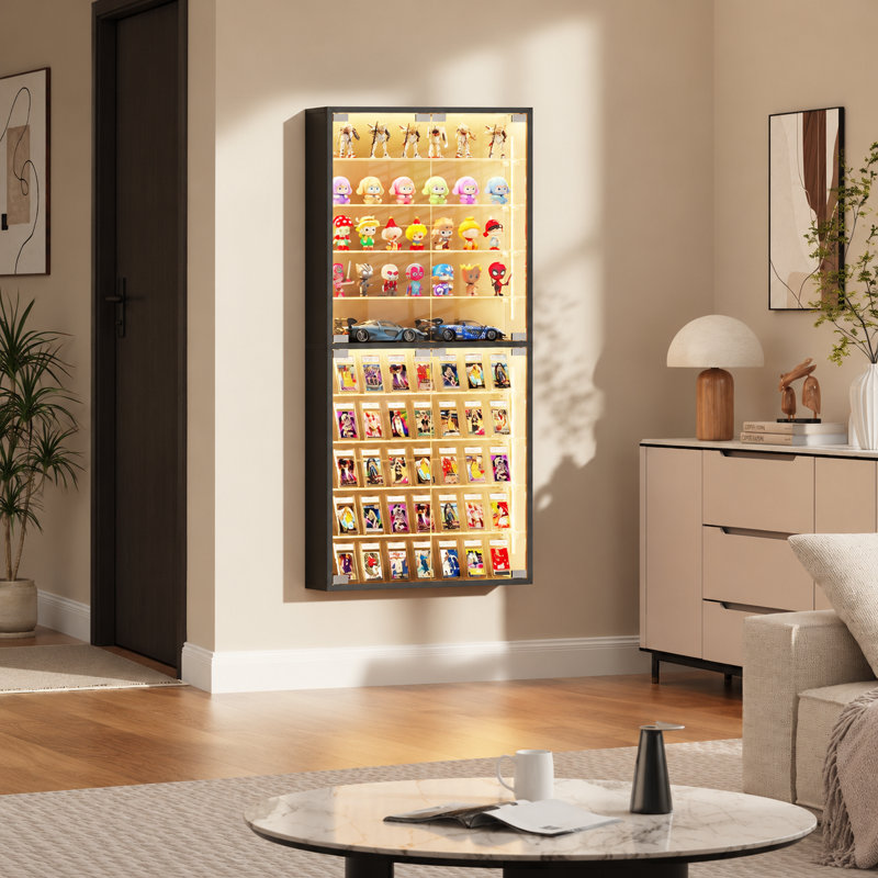 Vitrine Curio avec portes en verre, bibliothèque avec lumières DEL, noir, Black