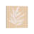 Leaf Study IV by Chris Paschke - Wrapped Canvas Painting-944157060