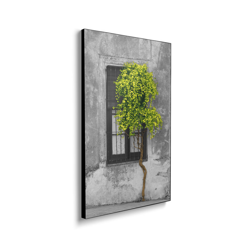 Reproduction d'art mural sur toile Steemplix - arbre en face de la fenêtre