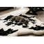  Tapis classique Puprug-1257351640-1257351647