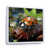 White Floater Framed