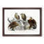 Collection of Eagle Birds by Oliver Goldsmith - Picture Frame Painting-57864694-57864696