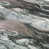 Gray/Blush selected