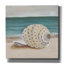 «She Sells Seashells 2» par Alicia Ludwig, art mural sur toile-111630464