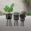 Jardinières en bambou polyvalentes de haute qualité pour diverses plantes et espaces-1638285834-1638285832