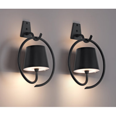 Cannus Armed Sconce