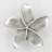 Plumeria medium knob-39948783-104672779-126755984
