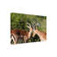 Art sur toile, Bob Bob Langrish Impala-104137702