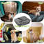 Couverture pour chien légère et imperméable Paw-75959172-75959175