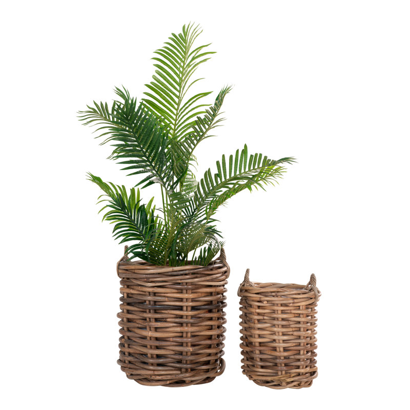 Bay Isle Home Decorative Basket