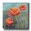 Toile épique Graffiti «Poppies 1 Big» par Bebe Keith, 26 po x 26 po-1751648024
