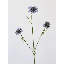 Vaporisateur Garden Scabiosa - 30 po-1689474579-1689474590
