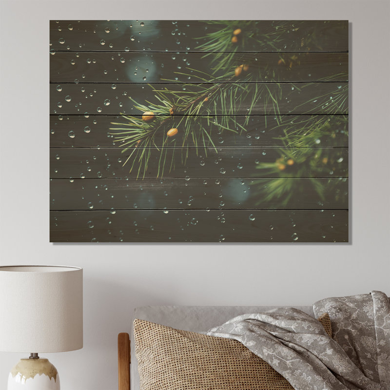Spruce Pine Tree Forest I - Tree Pine On Wood Print, 10" H x 20" W x 0.78" D